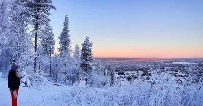 25 атмосферних фото української зими, що минає (фото)