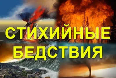 Советы для журналистов, освещающих стихийные бедствия | Международная  журналистская сеть