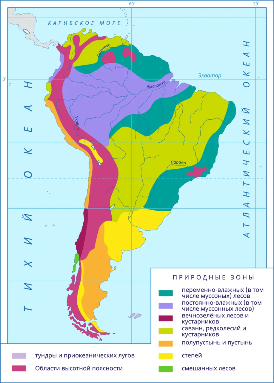 Природные зоны южной америки на карте контурной. Карта природных зон Южной Америки. Климатическая карта Южной Америки с природными зонами. Природные зоны Южной Америки природные зоны Южной Америки. Карта природных зон Южной Америки 7 класс география.