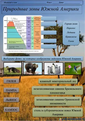 Южная Америка: природные зоны. Климатические пояса и области | Map, World  map, World