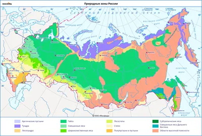 Природные зоны России окружающий мир 4 класс - YouTube