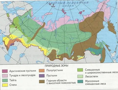 ЗАДАНИЕ №3.1.Природные зоны России.Подготовка к ВПР по окружающему миру, 4  класс. - YouTube