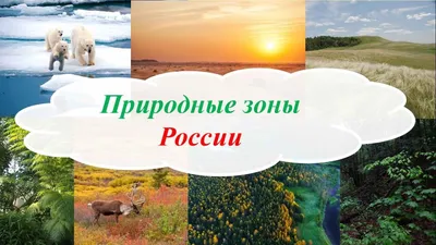 Карты-пазлы - Карта-пазл "Природные зоны России" купить по низкой цене.