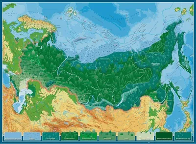Карта природных зон России. Большая подробная карта - природные зоны России