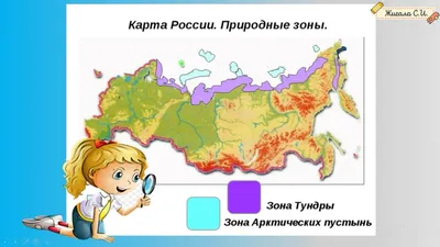 Купить Плакат "Природные зоны Российской Федерации. Ледяная зона" Формат А2  оптом - Лига поздравлений