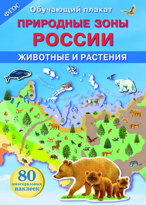 Природные зоны России. Животные и растения. ОБУЧАЮЩИЙ ПЛАКАТ. - Стрекоза