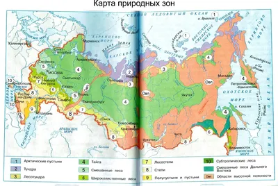 Плакат. Окружающий мир в начальной школе. Природные зоны России - купить  книгу с доставкой в интернет-магазине «Читай-город».