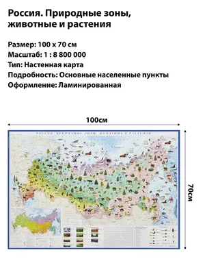 Учение о природных зонах | География 8 класс