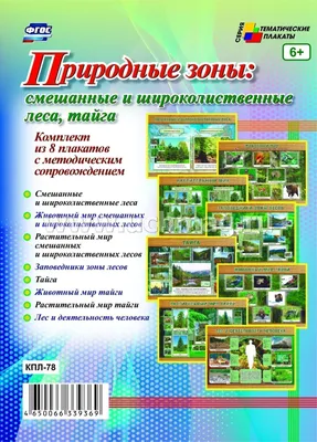 PPT - Проект «Природные зоны России» . PowerPoint Presentation - ID:3908458