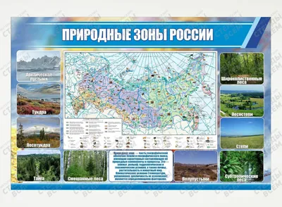 Природные зоны России | Удоба - бесплатный конструктор образовательных  ресурсов