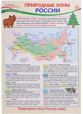 Лесные зоны России • География, Природно-хозяйственные зоны России •  Фоксфорд Учебник