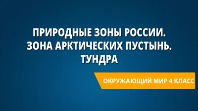 Географический пазл Животные и Природные Зоны РФ - Купить оптом в компании  Бумбарам