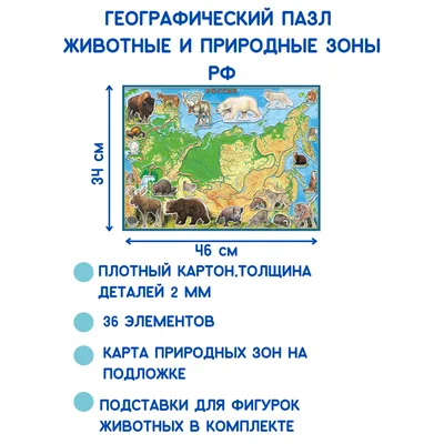 Повторяем природные зоны России и обитателей материков. Тест: сможете  набрать 12/12 - и пятерка обеспечена | Заметки мамы-училки | Дзен