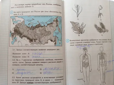 Географический пазл Животные и Природные Зоны РФ - Купить оптом в компании  Бумбарам