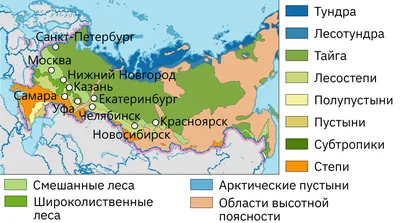 Природные зоны россии картинки