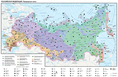 Купить Плакат "Природные зоны Российской Федерации. Тайга" Формат А2 оптом  - Лига поздравлений