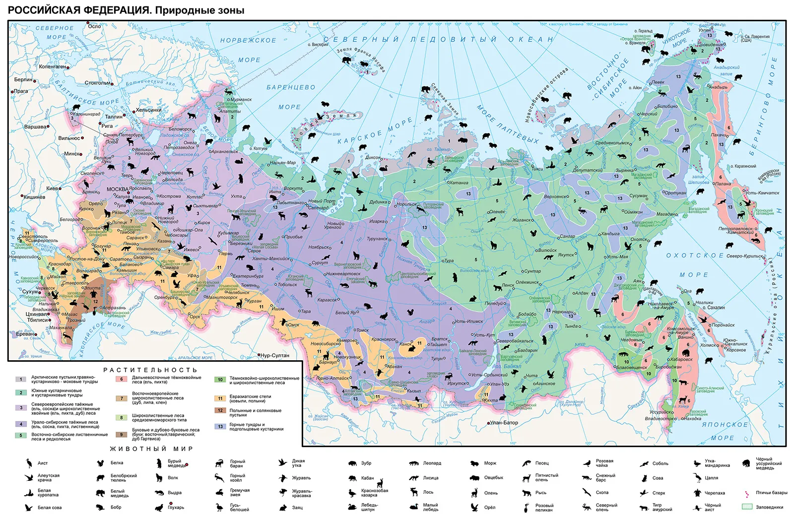 Плакат природные зоны