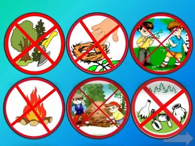 Экологические знаки в картинках для детей большие - 61 фото