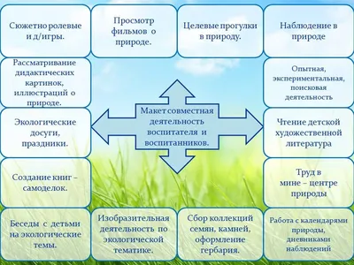 Детский сад №19 - Экологический проект Эколята - дошколята