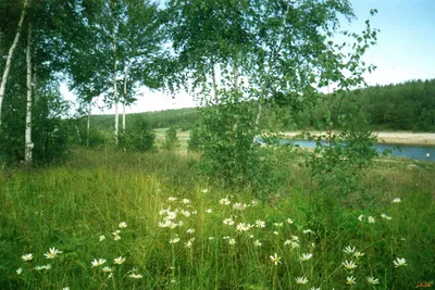 Загадки природы якутии - 64 фото