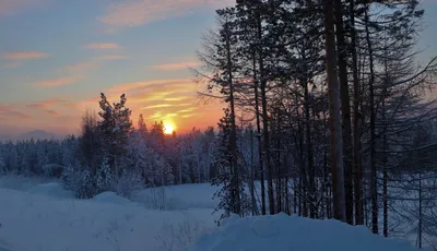 Природа Якутии. Воспитателям детских садов, школьным учителям и педагогам -  Маам.ру