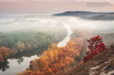 Фото из Украины попало в мировой топ-15 лучших изображений природы - Киев  