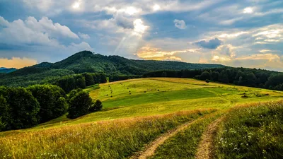 Википедия отобрала десяток лучших фотоснимков украинской природы — НикВести  — Новости Николаева