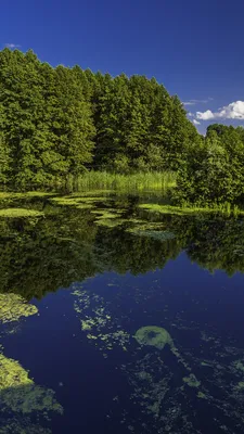 Beautiful nature of Ukraine. | Красивая природа Украины. | Flickr