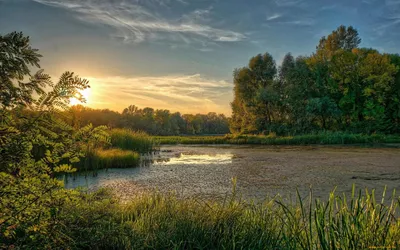 Викимедиа» показала лучшие фотографии украинской природы в 2023 году —  НикВести — Новости Николаева