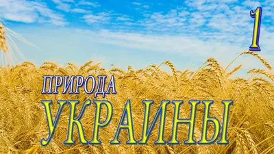 Флаг украины - картинки в разделе Природа