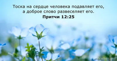 Притчи Соломона 4:7 Главное — мудрость: приобретай мудрость, и всем имением  твоим приобретай разум. | Синодальный перевод (SYNO) | Загрузите приложение  Библия уже сейчас