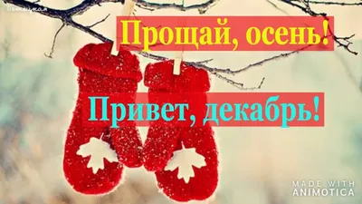 Привет декабрь. Идея для сторис. Зима. Снег. Вдохновение. Эстетика | Привет,  декабрь, Ежемесячные фотографий, Уроки фотосъемки