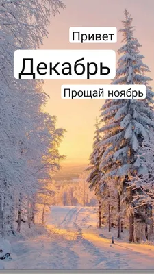 Привет Прощай ноябрь Декабрь | Привет, декабрь, Прощай, Декабрь