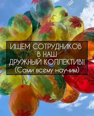 ВСЕМ ПРИВЕТ!!! В нашем контакт центре | Договорная | Другие специальности  Бишкек ᐈ  | 10 Август 2023 :33
