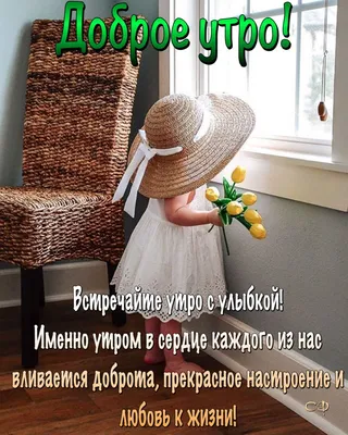 Картинки утро привет (32 фото) » Юмор, позитив и много смешных картинок