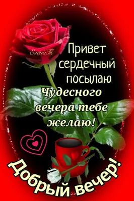 Вечерний приветик от меня! ☕❤️🌹🌹🌹 в 2023 г | Открытки, Счастливые  картинки, Картинки