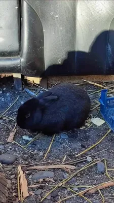 Привет, дружище!👋 ⠀ Возможно, после длинных праздников эта неделя  покажется длинной и тяжелой. Но только не с нами. Заезжай обновить… |  Instagram