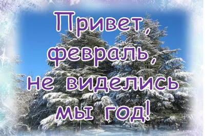 Привет, Февраль! в 2023 г | Позитивные цитаты, Мудрые цитаты, Вдохновляющие  высказывания