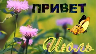 Ваш гид по Таллинну Экскурсии по Таллинну и Эстонии: Hello July - привет  июль!