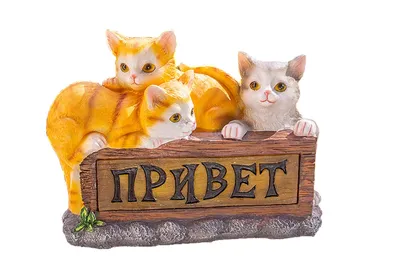 😻Всем привет котята😻 | •° Коты-Воители •° Amino