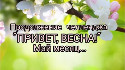 Замечательные редкие нередкости в моем саду или цветы, о которых многие  знают, но не все уже посадили. Май. | Дачная авантюристка | Дзен