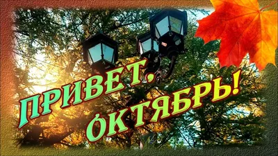 Привет, Октябрь! Счастливой и доброй осени! - YouTube