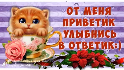 От меня привет! Улыбнись в ответ!" ~ Плейкасты ~ 