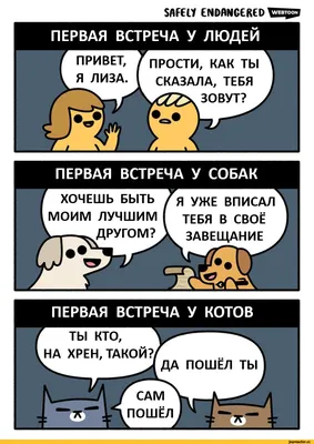 Привет, родной!" В областном военкомате прошел телемост с родственниками  участников СВО | Вслух.ru