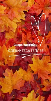 Привет, сентябрь. Осень. | Открытки, Осень, Привет сентябрь