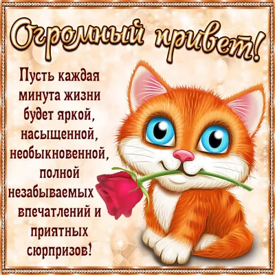 Идеи на тему «Привет!.Как дела?» (730) | открытки, доброе утро, веселые  картинки