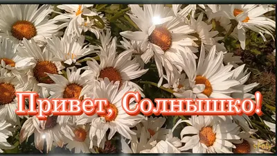 Шторы JoyArty с фотопечатью "Привет солнышко" из сатена, 290х265 см -  купить в Москве, цены на Мегамаркет