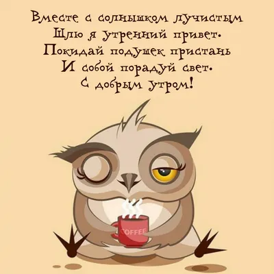 Боди детский Minikin Привет Солнышко! 2023 Кокосы 0 - 3 мес Стрейч-кулир  Розовый 2313202 купить | Mammyclub