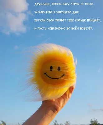 Привет, Солнце! Йога + образ жизни для здоровья, счастья и развития детей  Анастасия Кокеева - купить книгу Привет, Солнце! Йога + образ жизни для  здоровья, счастья и развития детей в Минске —