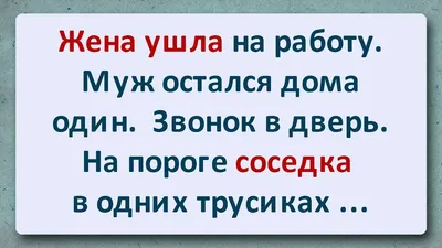 Продолжение поста «Бабушка-соседка по даче опять попросила меня спасти  котенка. Ну а я как обычно, отказать не смогла» | Пикабу